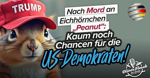 Nach Einschläferung von „Peanut“: Kaum noch Chancen für die US-Demokraten!