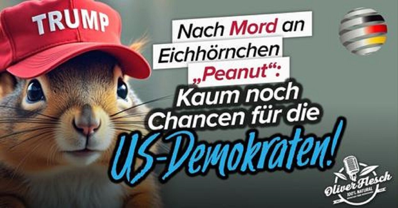 Nach Einschläferung von „Peanut“: Kaum noch Chancen für die US-Demokraten!