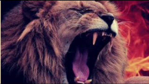 Warrior Arise Spiritual Warfare Instrumental