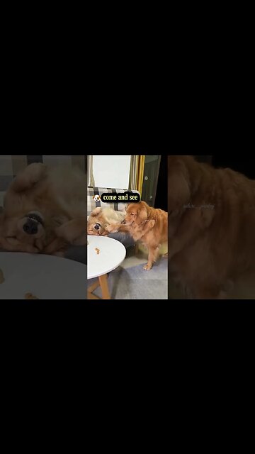 Turning around: I can't see it