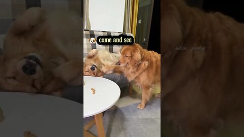 Turning around: I can't see it