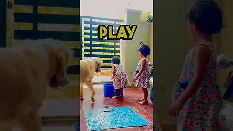 Video You Need to Watch, Exclusive First Look at Dog breaks fight between twin sisters #twins
