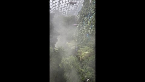 Cloud Forest, Singapore