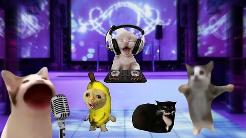 Funny Cats And Dogs Videos 😂 #10 - Try Not to Laugh