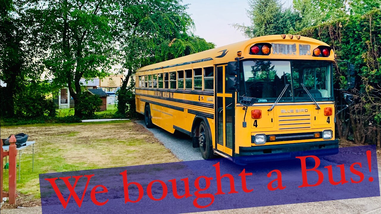 Welcome to our Bus Conversion