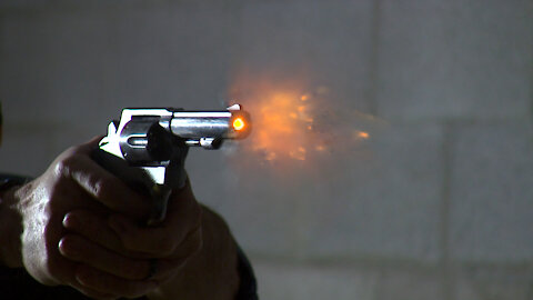 Range Time with the S & W Model 65-6 Police Trade In #797