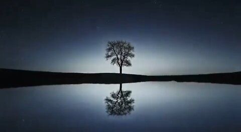 The Great Awakening