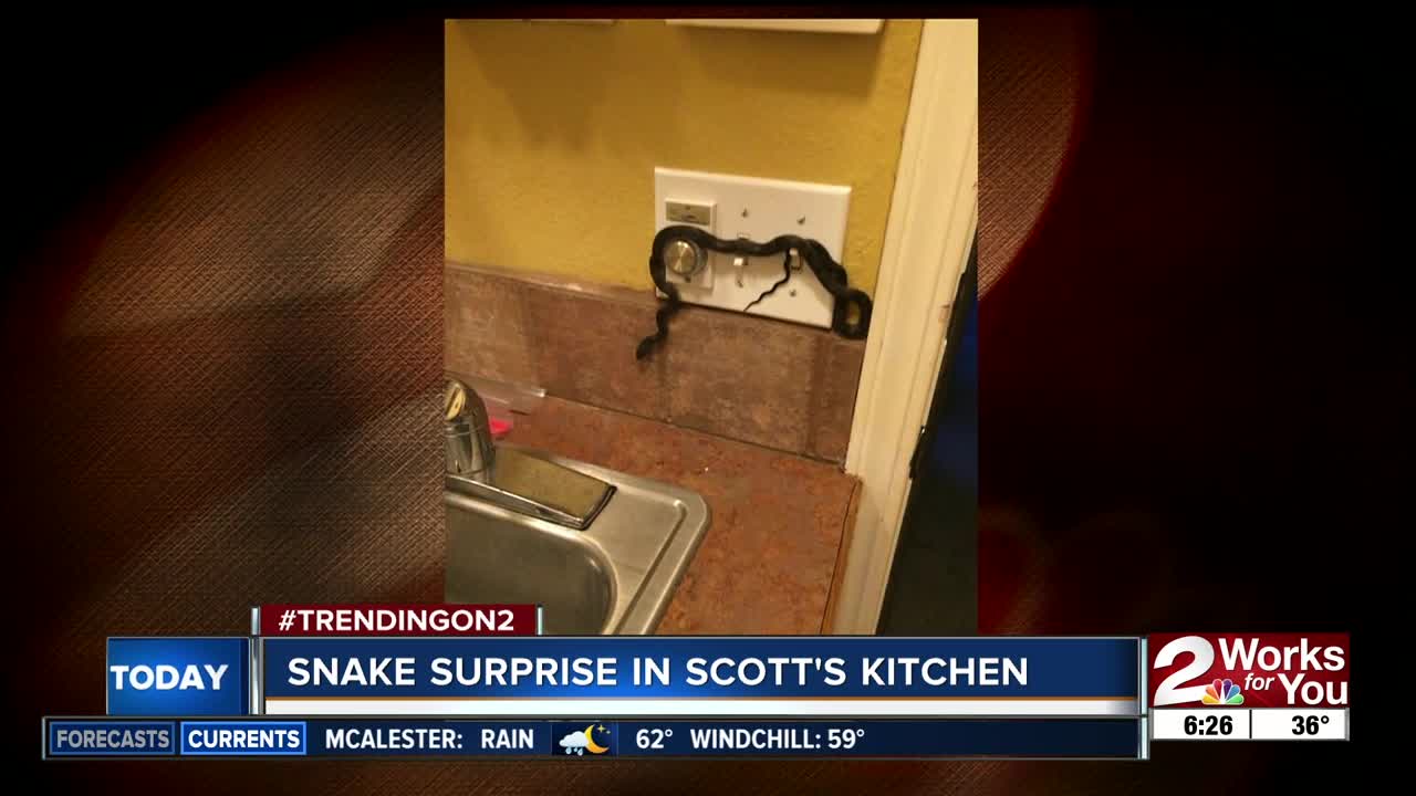There's a snake in Scott Thompson's house!