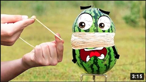 Funny Tips to Cut a Watermelon like a Pro | New Funny Videos 2021