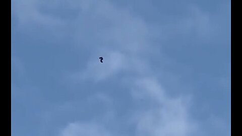 Probable Jellyfish UFO at a height of 5000 meters Zurich June 8, 2024 - Ovni Medusa en Zurich