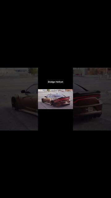 Most Amazing and trending video||relaxing your mind||trendig videos|| #shorts #trending #viral #live