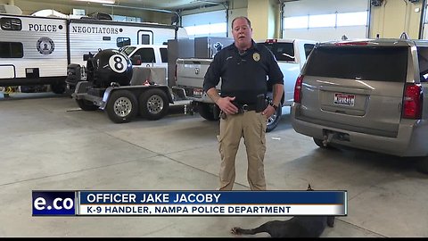 Police K-9 retires after 9 years of loyal service