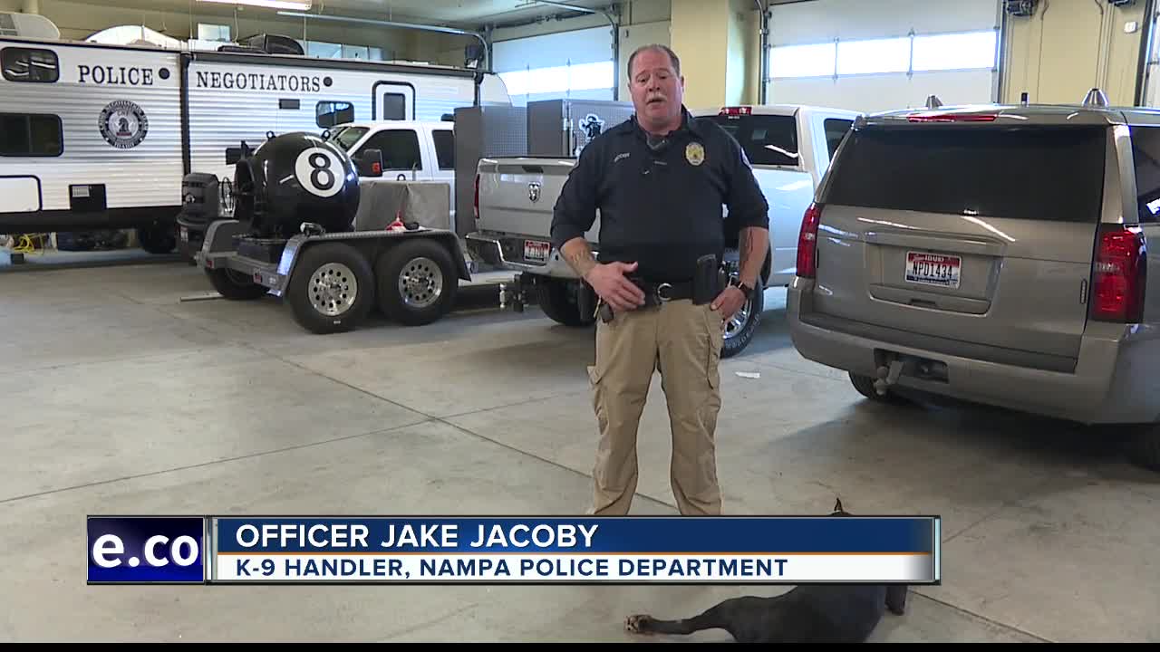 Police K-9 retires after 9 years of loyal service