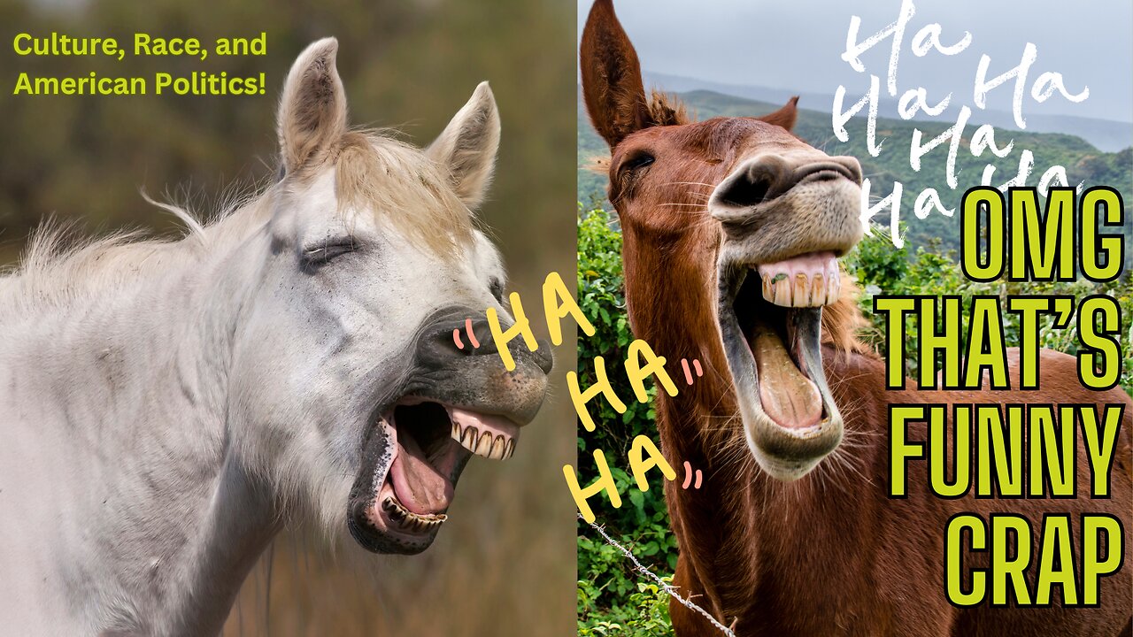 OMG! That's FUNNY! Culture, Race, and American Politics!