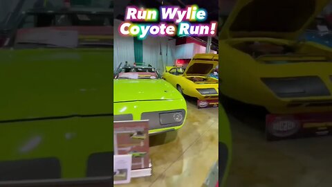 Run Wylie Coyote Run! Here Comes the Roadrunner Superbirds! #shorts
