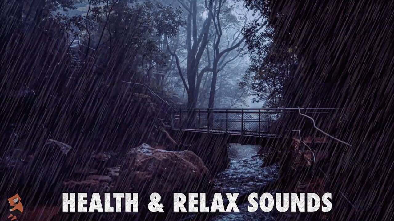 Rainy Forest Ambience Calming Sounds and Serene Scenes for Relaxation