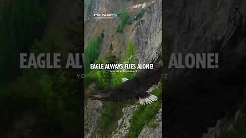 Eagle Always Flies Alone💪~ #shorts #4trillionairez #motivation #short