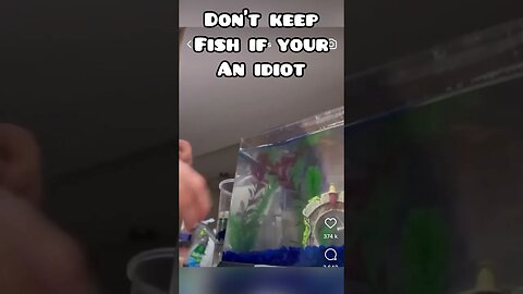 DONT KEEP FISH IF YOUR AN IDIOT #fancygoldfish #goldfishtank #goldfish #goldfishfail #fail