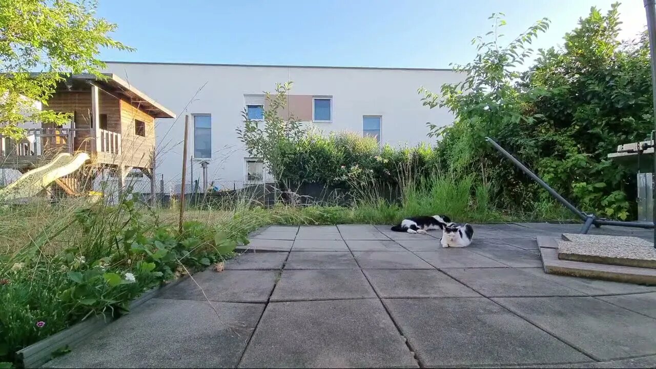 Highlight 6:09:24 – 6:14:24 von Silent Long LIVE for wh update IN THE GARDEN IN VERY BEAUTIFUL WEATH