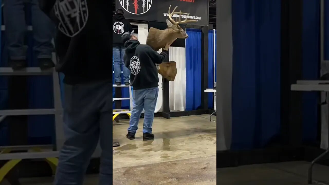 Outdoor show this weekend Springfield Ma! #deer #deerhunting #shortvideo #bigbucks