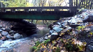 Houseless Episode 7: Nine Mile Bridge - Day 4