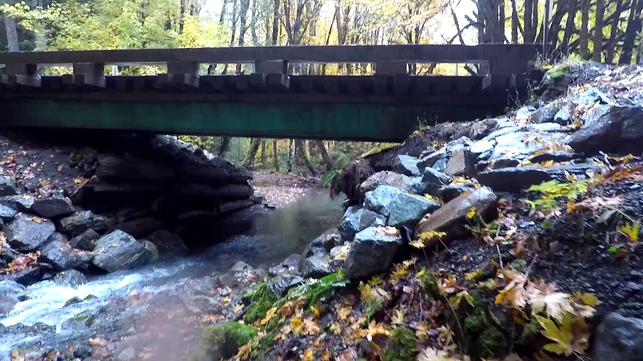 Houseless Episode 7: Nine Mile Bridge - Day 4