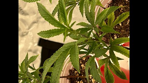 What kind of training should I do?