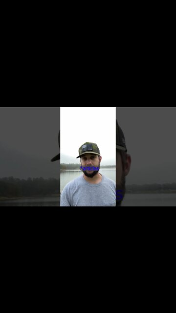 5 Passive Income Strategies You Can Use In A Bear Market 🐻 #shorts