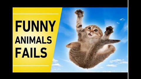 Funny animal fail 😂/haha!/ Can't control Lough / can you control your laugh 😂