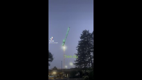 The crane