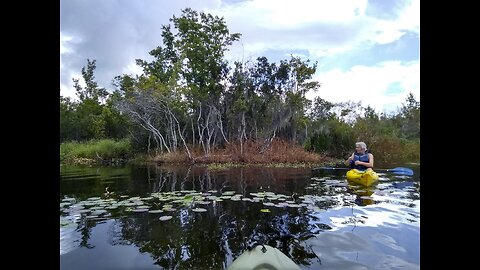 Ashley River South Carolina