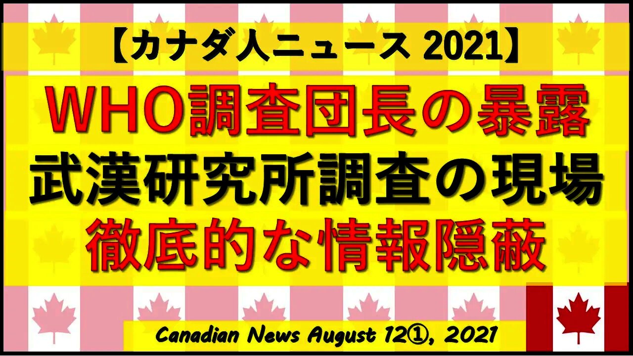 WHO調査団長の暴露 2月現地調査の現場・隠蔽