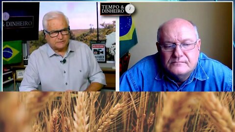 Trigo em momento de calmaria