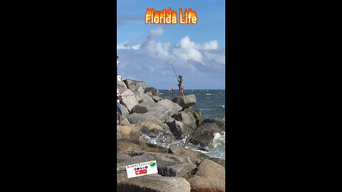 Florida Life