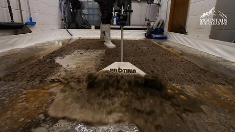 Scrub-A-Dub-Yuck: How To Clean The Nastiest Rugs ! Satisfying ASMR Carpet Cleaning