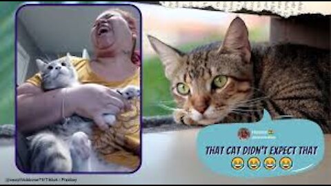 Funny and Cat's thug Life 😺 Cats and Owners are the best friends 2021
