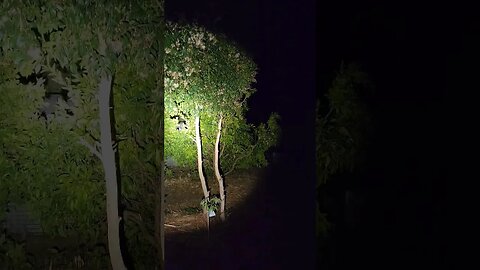 In The Darkness They Wait