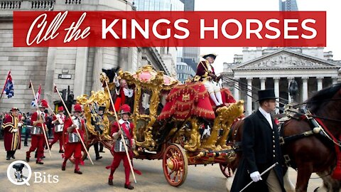 #015 // ALL THE KING'S HORSES