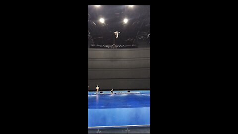 Olympic medalist show his skill