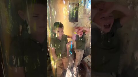 Wind Tunnel Zoo