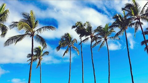 🔴 Soul Healing Music (4K UHD) Scenic Relaxation Music Thats Good For The Soul, Mind & Body