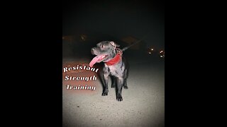 APBT ALPHA Performance Resistant // Strength Training
