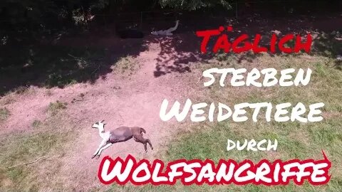 Schönes Wochenende