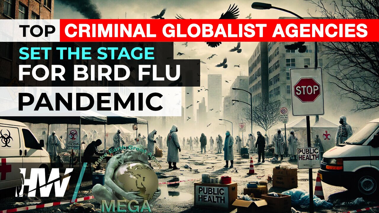 TOP CRIMINAL GLOBALIST AGENCIES SET THE STAGE FOR BIRD FLU PANDEMIC