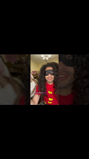 Doggy Halloween costume reveal 👀 #dogcostumes