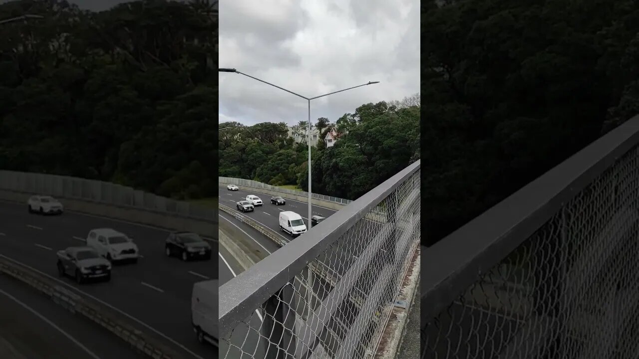 Motorway past Westhaven Marina.