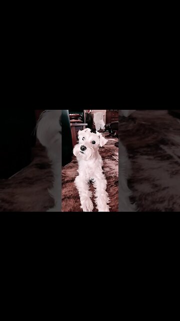 He’s 10 years old but acts more like a2 year old. For him this is acceptable.