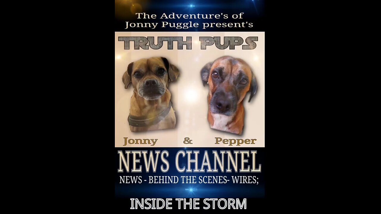 💥 TRUTH PUPS | JFK, UFOS, CIA, Loyd Berkner, Antarctica, Elon Musk