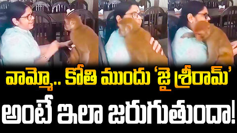 వామ్మో.. కోతి ముందు ‘జై శ్రీరామ్’ అంటే ఇలా జరుగుతుందా!? #monkey #viralvideo #harerama | FBTV NEWS