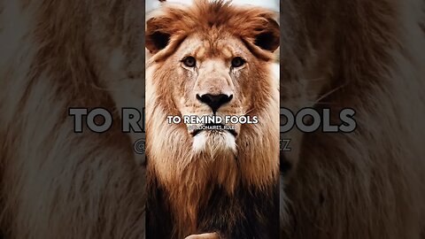 SOMETIMES A KING 😎😈 ~ motivational whatsapp status #motivation #shortsvideo #shorts #ytshorts